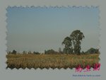 DPP_0109