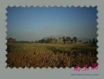 DPP_0118