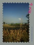 DPP_0120
