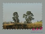 DPP_0143