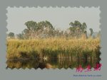 DPP_0146