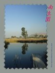 DPP_0157