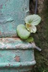IMG_5829
