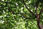 IMG_5453