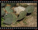 DPP_0056
