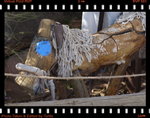 DPP_0065