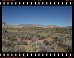 DPP_0110
