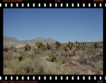 DPP_0128