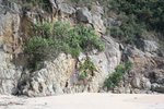 IMG_6557