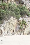 IMG_6563