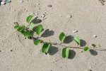 IMG_6565