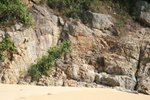 IMG_6567