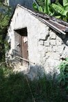 IMG_6831