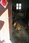 IMG_6852
