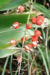 IMG_6881