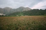 IMG_6902