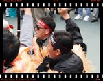 DPP_0266