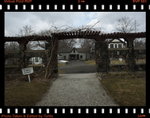 DPP_0019