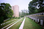 40900019
