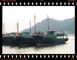IMG_5570