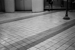08610029