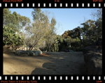 DPP_0181