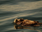 Alaska10062007-1