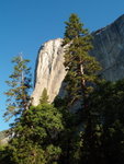 Yosemite02062007-5