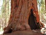 Yosemite03062007-6