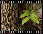IMG_9854