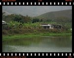 IMG_9881