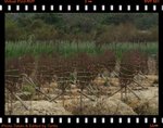 IMG_9925