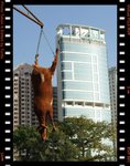 DPP_0124