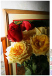 Flower 18mm f4