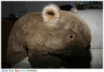 Wombat 18mm f4