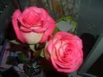 From So.L