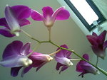 10112006(001)