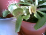 10112006(002)