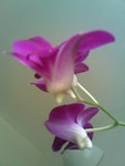10112006