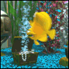 mybubbles7ir