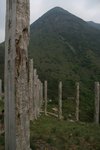 IMG_0893