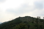 IMG_0899