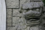 IMG_0946