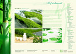 Forms of water拷貝
