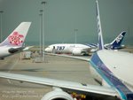 REW-1020910