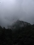 IMG_9310