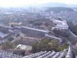 DSC05451