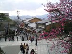 Many visitors with majority Japanese locals