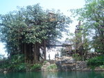 DSC03990