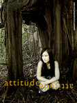 Attitude11